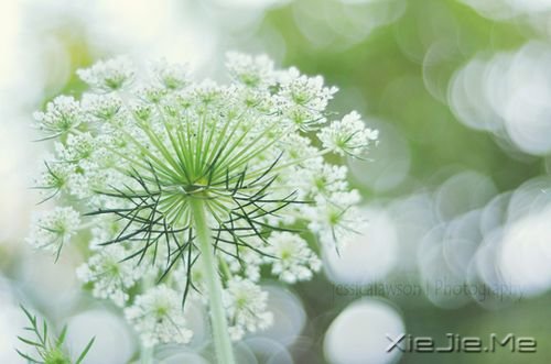 经历一些事,读懂一些人 (6)